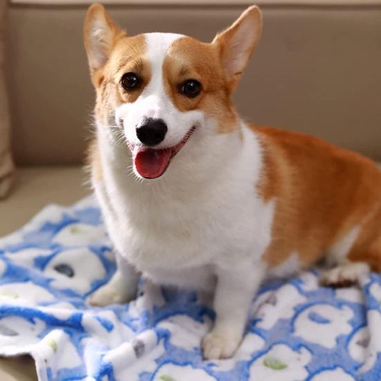 Pet Winter Blanket Super Soft Elephant Pattern Cozy Coral Fleece Cartoon Style Washable Dog Puppy Cat Throw Cage Sleeping Blanket
