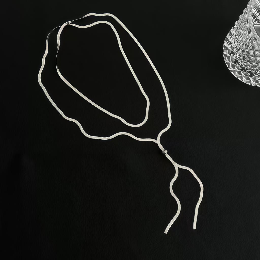 Titanium steel necklace women's light luxury versatile super long snake bone chain can pull niche light luxury design sweater chain women's high sense