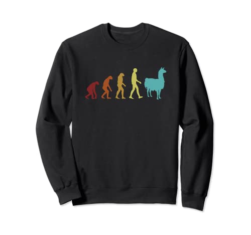 Alpaca Evolution Ramahuacaya Paco Alpaca Breeder Alpaca Trainer