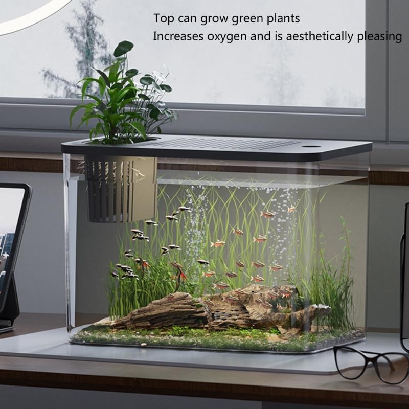 Clear Fishtanks With Safe Lid and Water Plant Holder For Gold Fish Home Desktop Decoration Aquariums Tanks