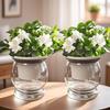 Transparent Hydroponic Desktop Flower Pot for Indoor Gardenia and Pothos
