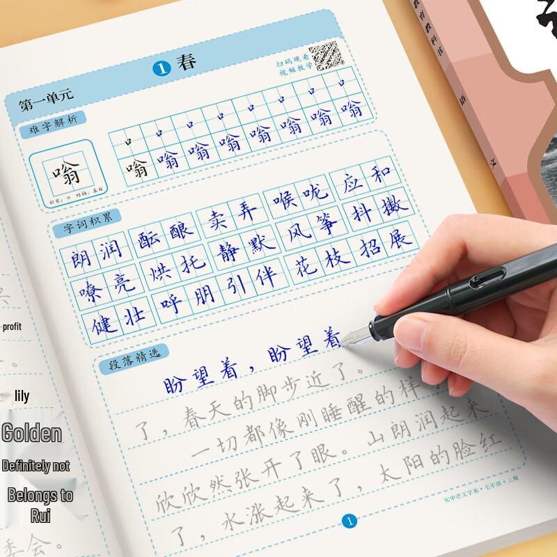 Chinese Language Calligraphy & Writing Practice Books