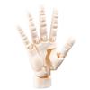 Biomimetic Hand Joint Movable Model Right Hand Anime Hand Model  For Displaying