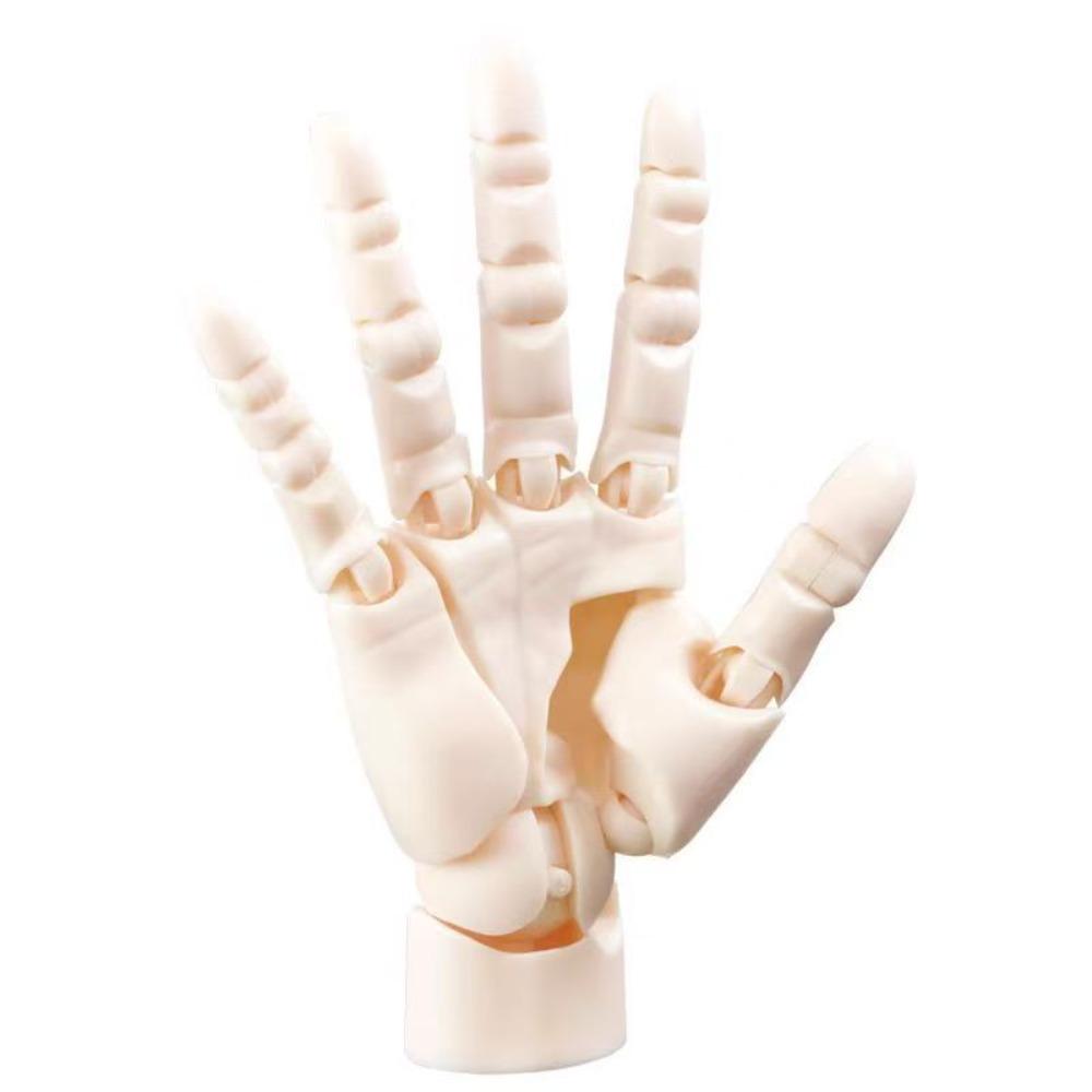 Biomimetic Hand Joint Movable Model Right Hand Anime Hand Model  For Displaying