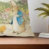 Cute Kawali Peter R-Rabbit Cushion Cover For Pillow Printing Sofa Decoration Home Car Room Coffee Shop Office Nordic Simplicity