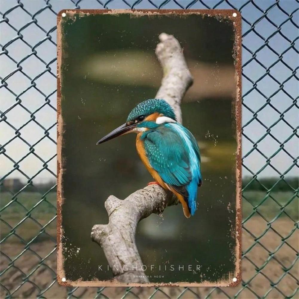Vintage Metal Sign Kingfisher 30x20cm Rustic Garden Home Decor