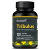 Tribulus terrestris extraktkapslar 1000 mg, energistödstillskott 120 kapslar