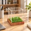 Golf Ball Showcase with Grass-Style Interior Dust Protection Acrylic