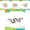 Pvc Reptile Models Wild Animal Decor For Kids Learning And Home Display