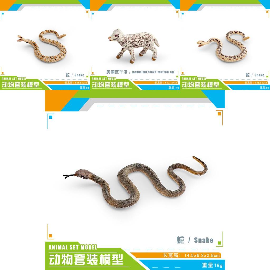 Pvc Reptile Models Wild Animal Decor For Kids Learning And Home Display