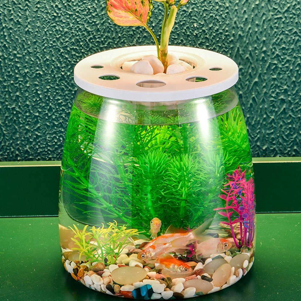 Plastic Turtle Aquarium Transparent Turtle Terrarium Small Clear Fish Tank  Aquarium Setup