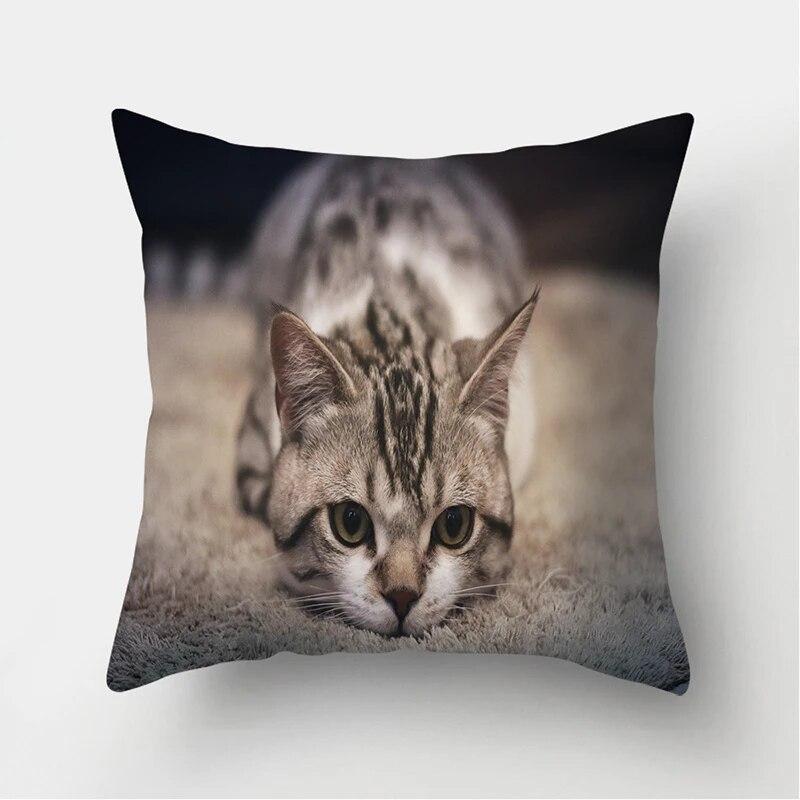 Cute Cat Print Decorative Cushion Pillowcase  Cover Pillow Sofa Living Room