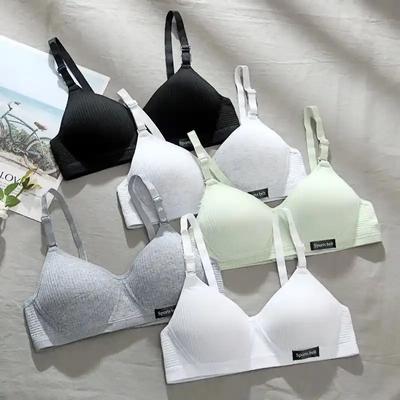 Sujetador Push Up para mujer, sujetadores sexys sin costuras, Bralette cómodo sin aros, lencería de copa fina para chicas jóvenes, copa AB