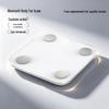 Smart Bluetooth Rechargeable Body Fat Scale (CN Version)