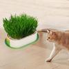Cat Grass Germination Kit, Lightweight Tray.