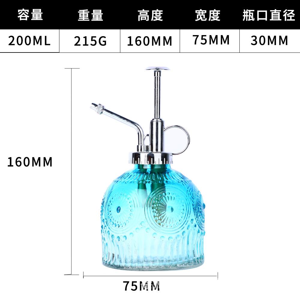 

Европейская красочная лейка из тисненого стекла Домашнее садоводство Лейка-дождеватель Чайник Лейка для суккулентов Садовый декор