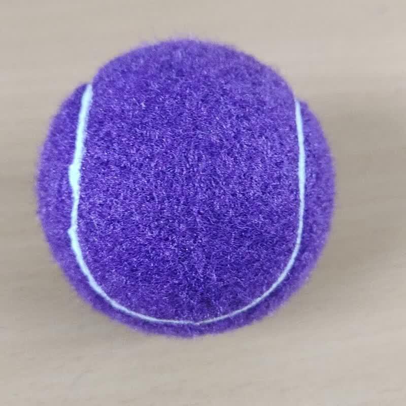 LISM Solo Tennis Trainer Ball
