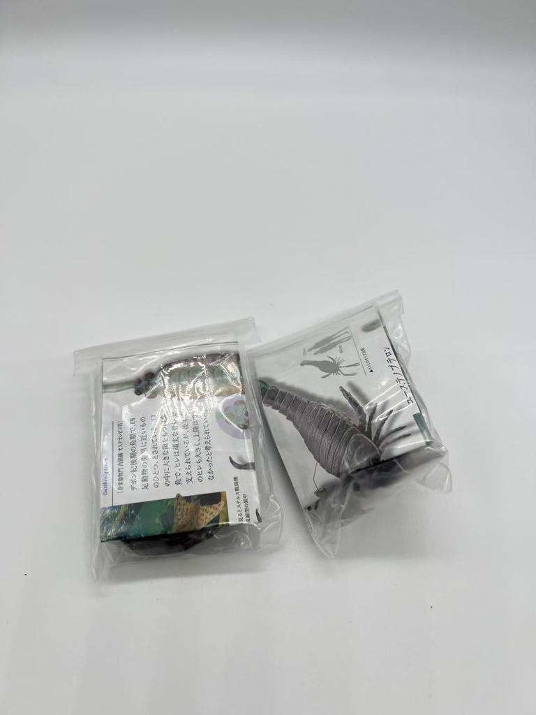 [USED] Paleozoic Explosion of Life