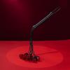 Rose-Decorated Leather Whip: Couples' Intimate SM Toy