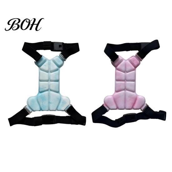 Pet Heat Stress Relief Gear Dog Cooling Vest, Breathable Coat with Gel Ice Packs, Summer Essentials for Hot Climate Jacket Large Medium Small