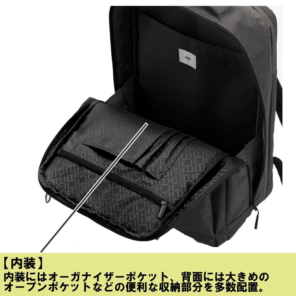 Ace Gene Men's Expandable Capacity Two-Compartment Case, Fits B4 Size, 15.6-inch Laptop, Hover Light 2, and Anti-Virus Pocket, No. 67617