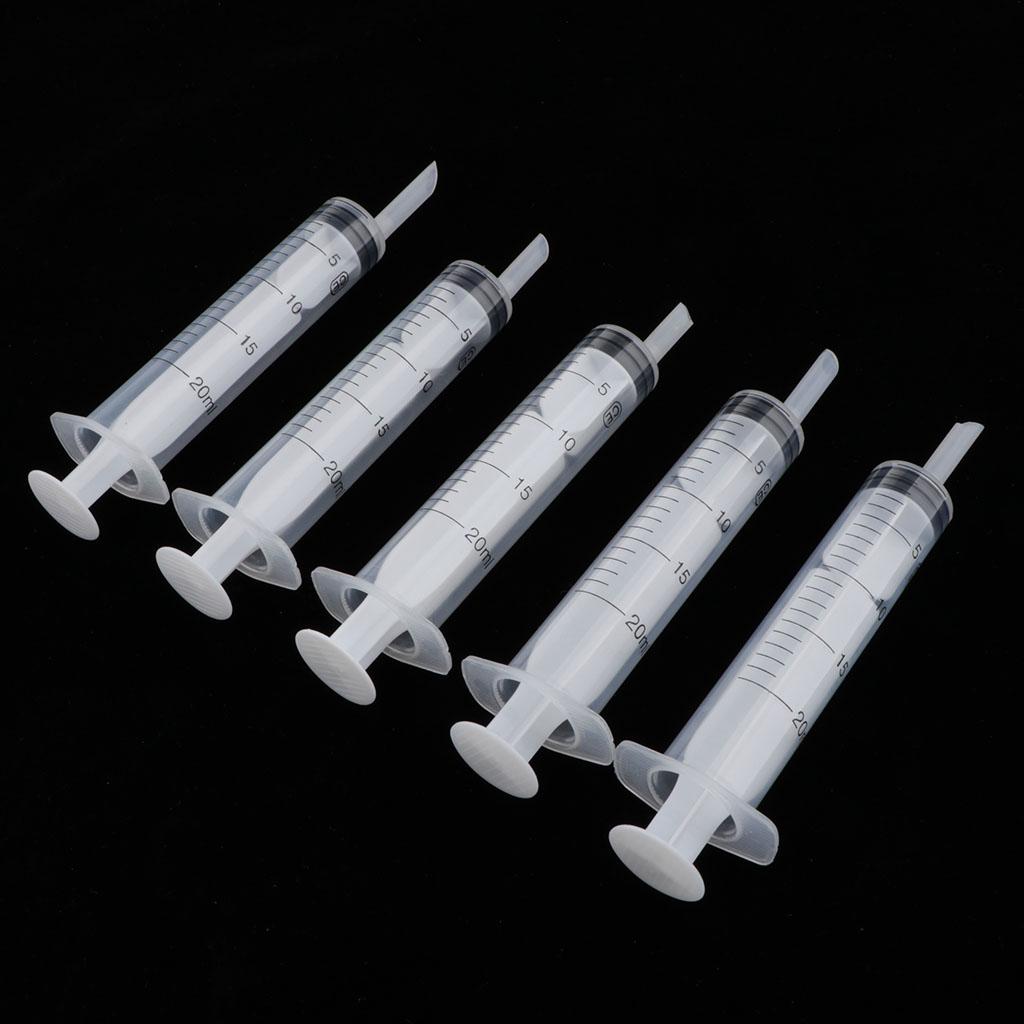 parrot feeding syringe