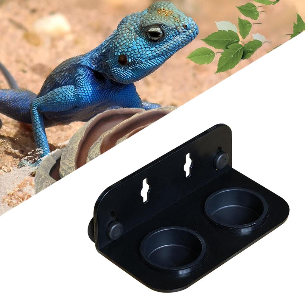 Reptile Feeding Tray Platform Versatile Feeder Ledge for Small Reptiles Pet