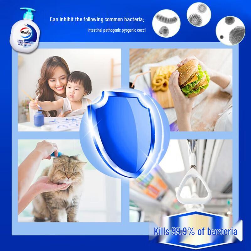 Walch Health Care Hand Sanitizer