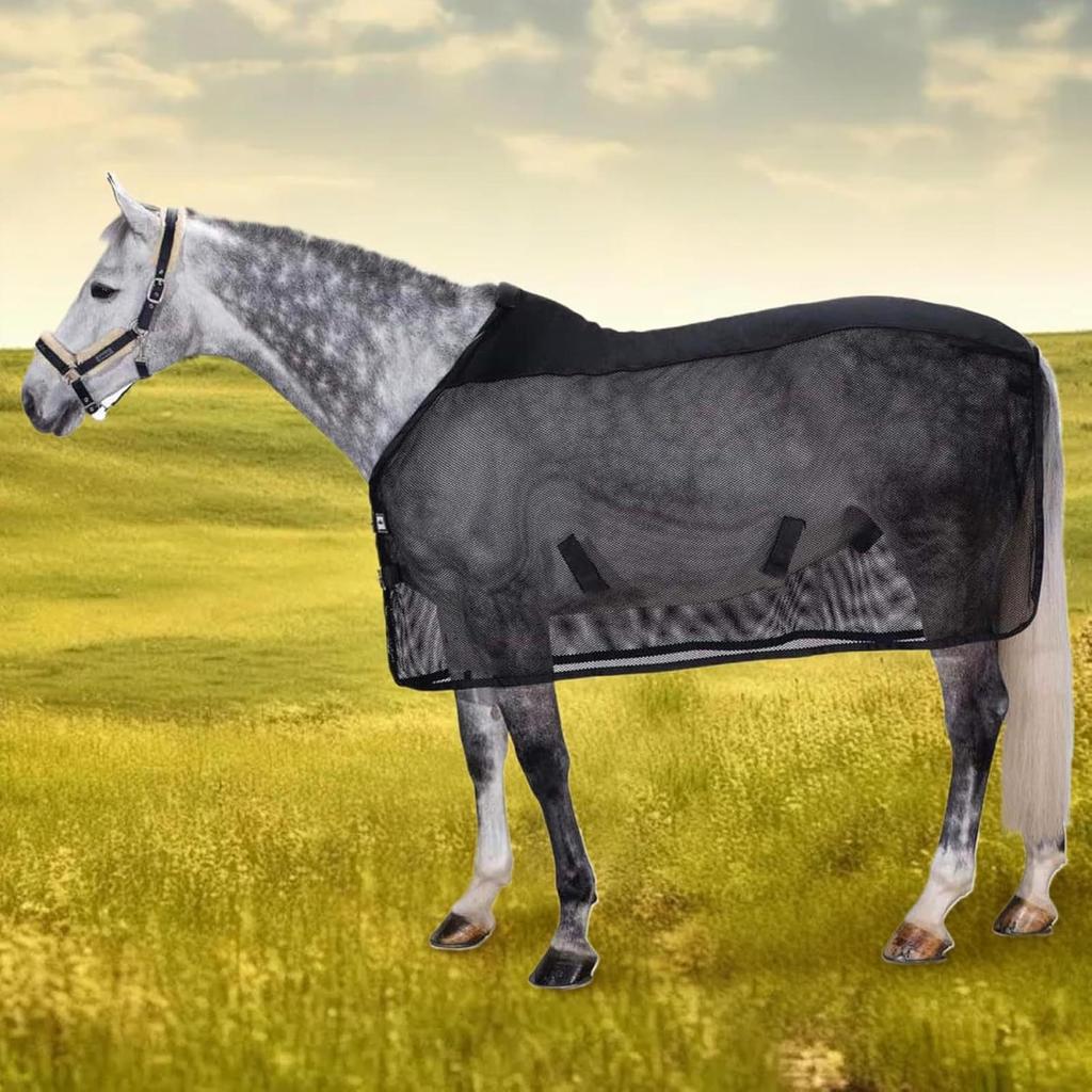 Horse Mesh Fly Sheet Breathable Sun Proof Abrasion Proof Adjustable Horse Care Sheet for Summer