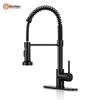 LINGJULI Stainless Steel Pull-Out Kitchen Faucet with Filter Function