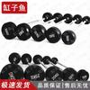 Fixed Weight Rubber-Coated Barbell Set