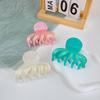 Ocean Series Acrylic Octopus Claw Hair Clip – European & American Style Updo Hairpin for Women