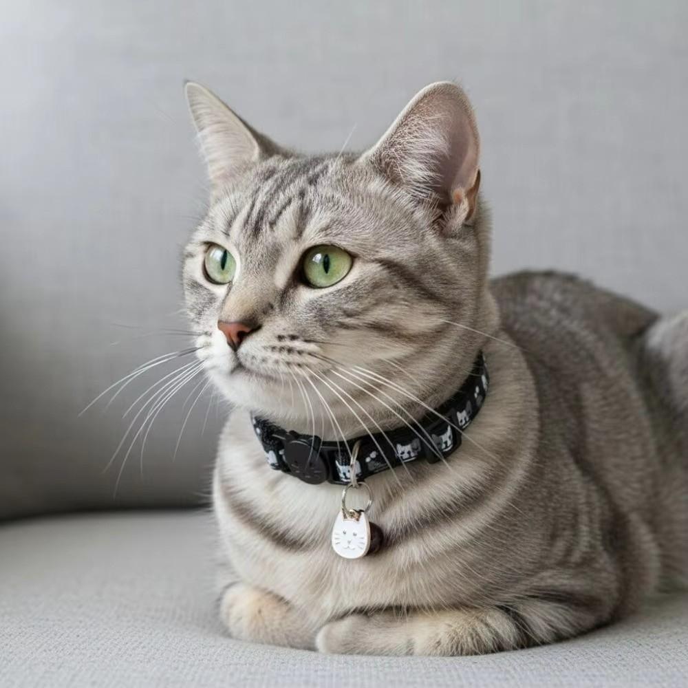 Quick Release Buckle Cat Collars Bell Kitten Necklace Cute Pet Collar For Dogs