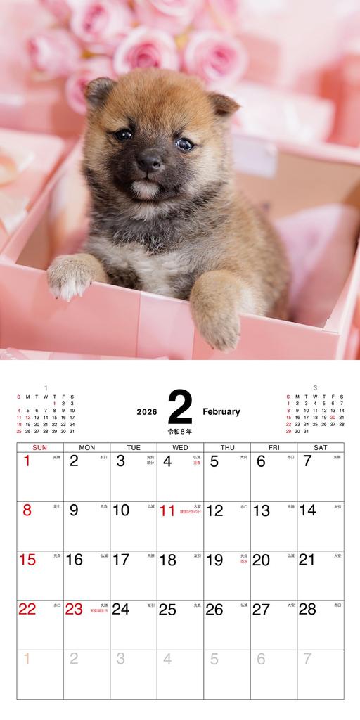 Calendarul Sentimentelor 2026 Mameshiba's ([Calendar])