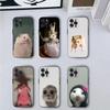 Süße Maus Ratte Hamster Handyhülle Handyhülle Für iPhone 16,15,14,13,12,11,Pro,X,XS,Max,XR,Plus,Mini Weiche Schwarze Hülle