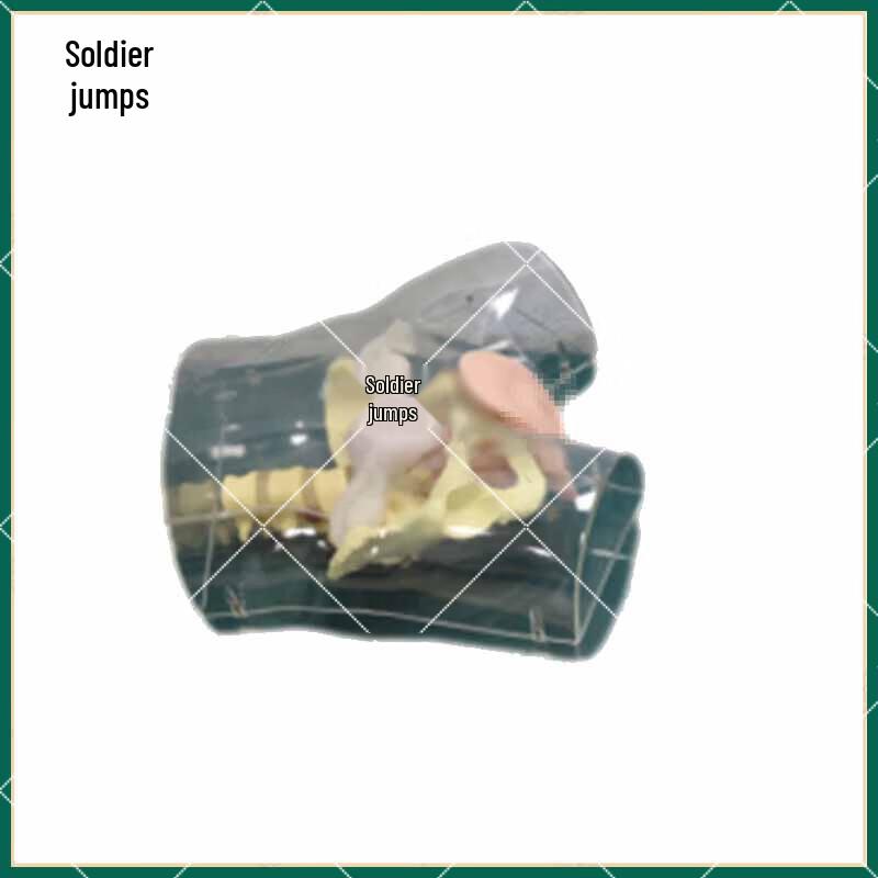Female Urinary Catheterization Training Model