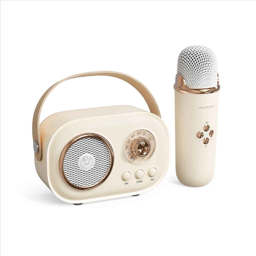 Children's Wireless Bluetooth Karaoke & Education Microphone Speaker