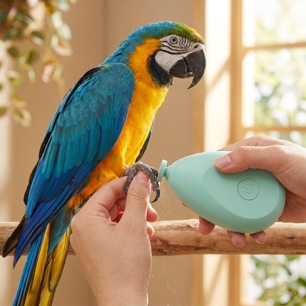 Taille-ongles électrique portable pour perroquet avec 4 têtes de polissage Coupe-ongles pour oiseau Toilettage d'animal de compagnie