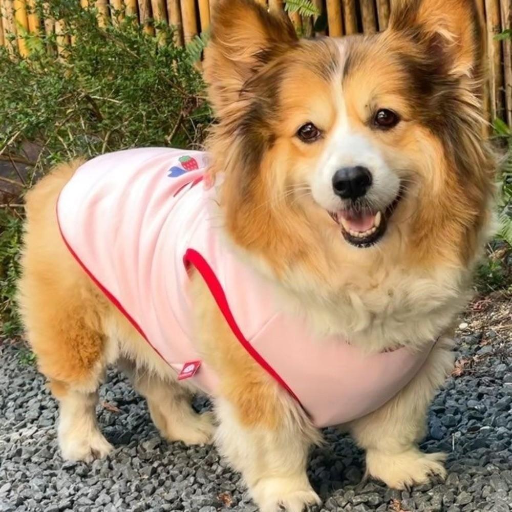 Breathable Dog Vest Strawberry Pattern Cooling Vest Cute Dog Tank Top Daily Wear