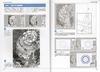 Drawing Fantasy Backgrounds: Creating Realistic Otherworldly Spaces with Detailed Drawings (Comics Drawing Book EXTRA)
