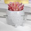 Middle Finger Succulent Planter - Cross Resin Handicrafts for TV Cabinets, Bedrooms, Courtyards