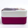 YAXEL Bento Made In Frozen Anna Box, Rectangular, Two-Tier, Disney, Japan, 2,