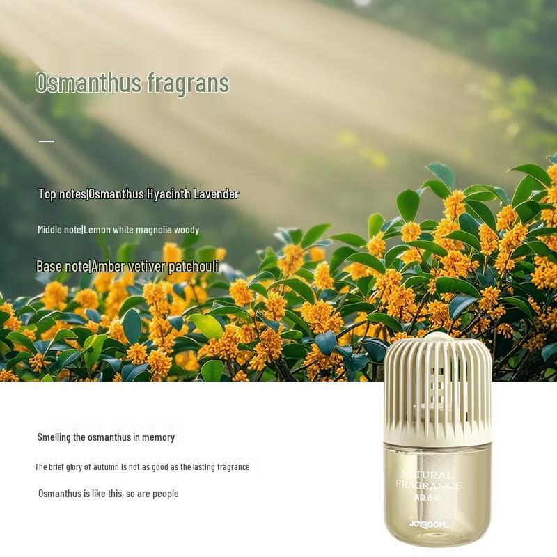 Joyroom Liquid Aroma Diffuser