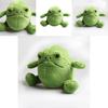 Ricky Rain Frog Plush Toy Adorable And Huggable Stuffed Animal Gift For Kids