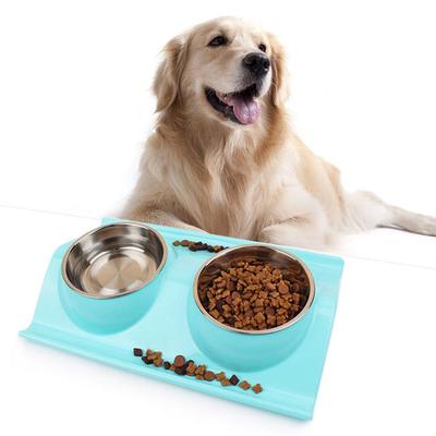 Image result for Golden Retriever едят вашу любимую еду