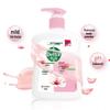 Dettol Anti-Bacterial Moisturizing Hand Wash Duo Pack