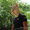 Sphynx Cat Mask Halloween Horror Monster Face Alien Costume Masquerade Party
