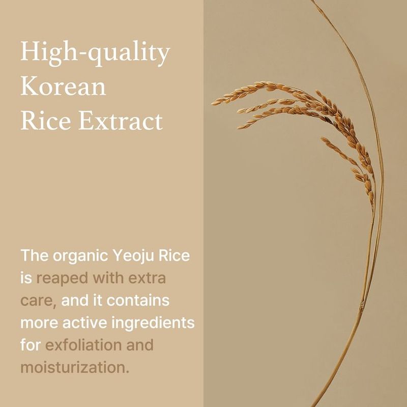 I'm from - Rice Mask Mini