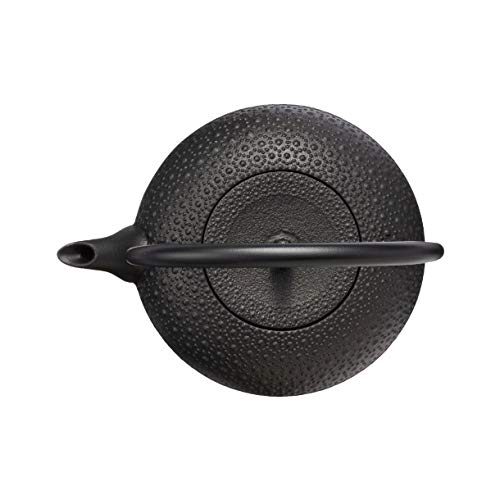 Oigen Nanbu Ironware Iron Kettle, Shinonome Kikko Pattern, 1.0L, IH Compatible, H-200