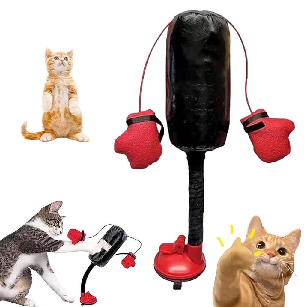 Giocattolo da Boxe Interattivo per Gatti Sacco da Pugilato per Gatti Palestrina Autoportante per Gattini Sollievo dallo Stress Giocattolo per Gatti Resistente Allenatore per Graffi